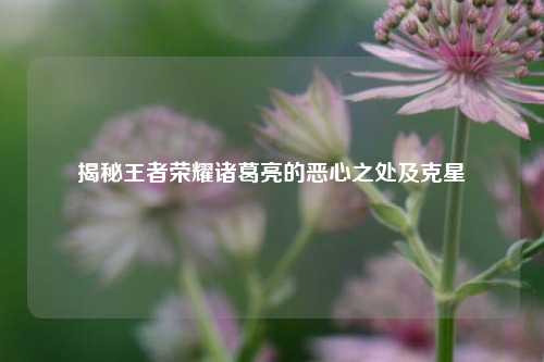 揭秘王者荣耀诸葛亮的恶心之处及克星