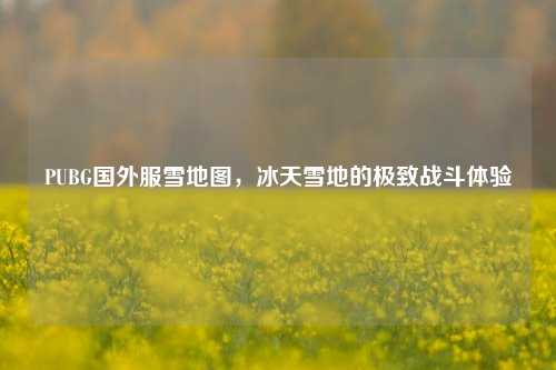 PUBG国外服雪地图，冰天雪地的极致战斗体验