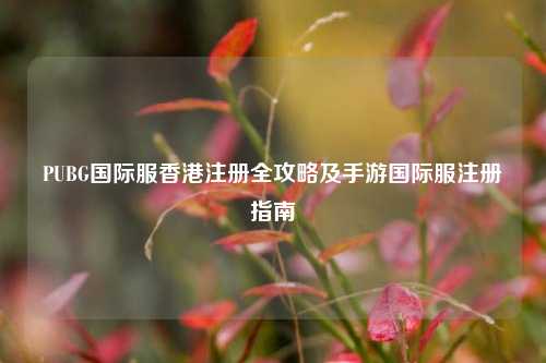 PUBG国际服香港注册全攻略及手游国际服注册指南