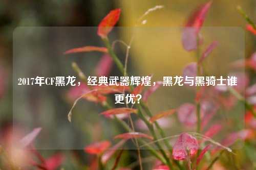2017年CF黑龙，经典武器辉煌，黑龙与黑骑士谁更优？