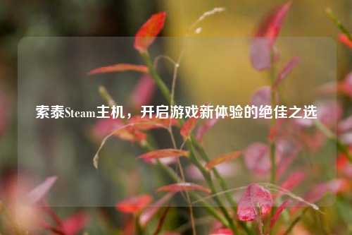 索泰Steam主机，开启游戏新体验的绝佳之选
