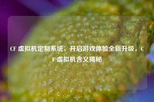 CF 虚拟机定制系统，开启游戏体验全新升级，CF 虚拟机含义揭秘