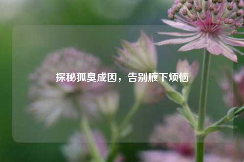 探秘狐臭成因，告别腋下烦恼