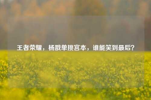 王者荣耀，杨戬单挑宫本，谁能笑到最后？