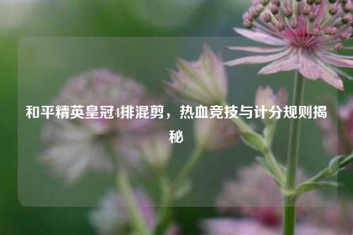 和平精英皇冠4排混剪，热血竞技与计分规则揭秘